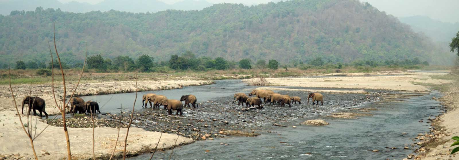 Nature Trips & Family Getaways